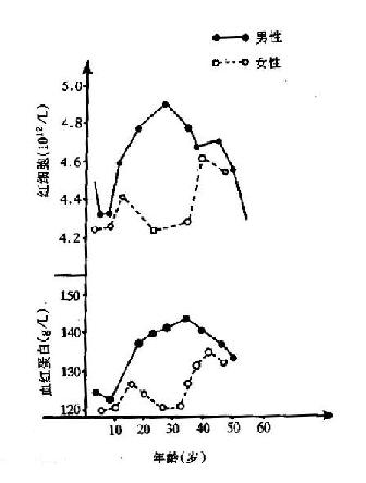红细胞和血红蛋白的生理变化曲线