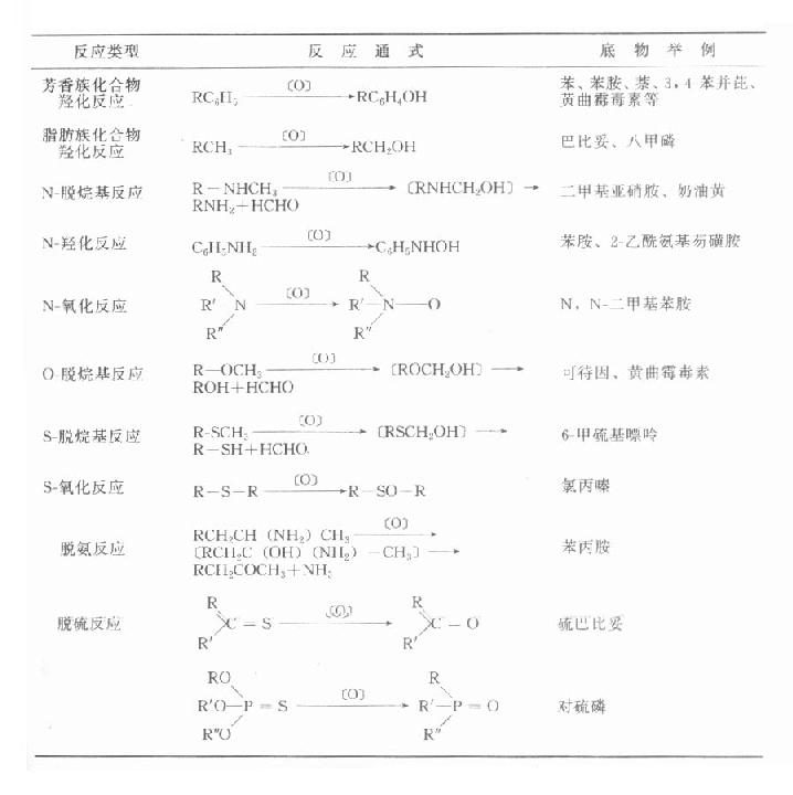 一、生物转化的反应类型