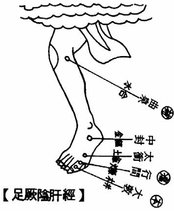 足厥阴肝经