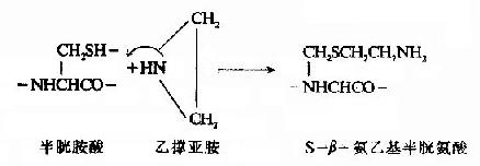 蛋白质一级结构的测定方法