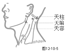 手少阳三焦经穴