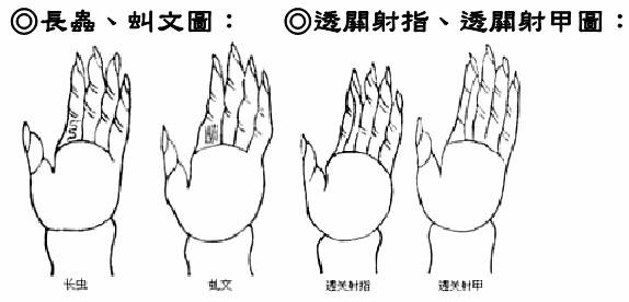 長蟲、虯文圖；透關射指、透關射甲圖