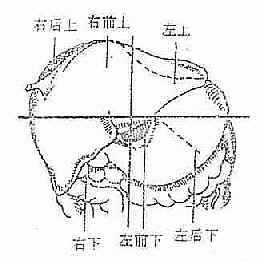 膈下间隙解剖示意图