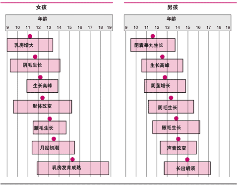 性发育的重要阶段