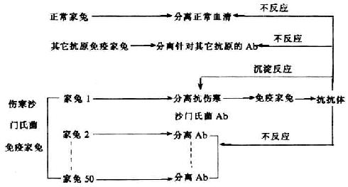 独特型抗原特异实验（Oudin,1963）