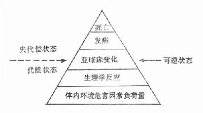 人群接触环境危害因素的生物学反应