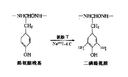 一、基本原理