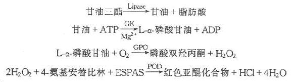 二、酶法（GK-GPO-POD比色法）