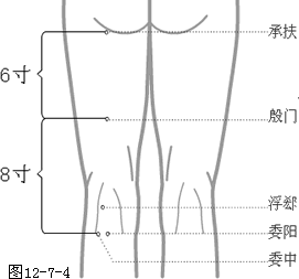 足太阴膀胱经穴