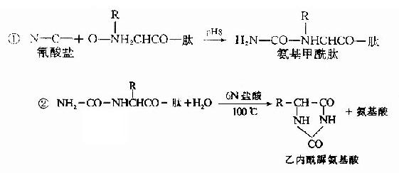 蛋白质一级结构的测定方法