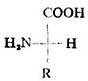一、氨基酸的构造、构型及分类、命名