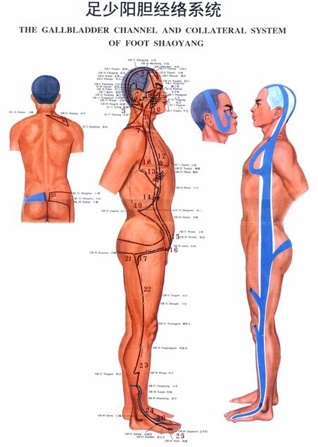 足少阳胆经经分寸歌