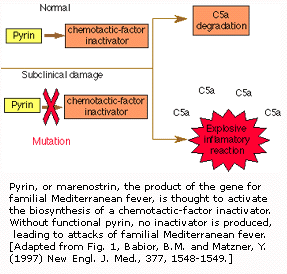 家属性地中海热