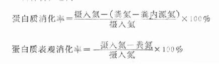 蛋白质消化率