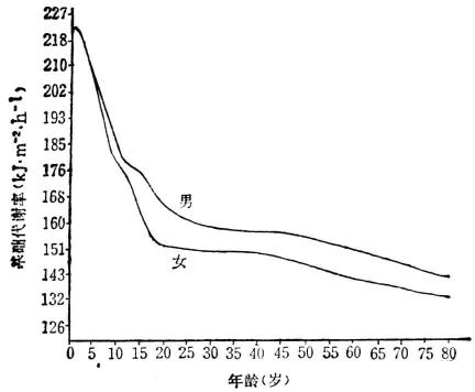 不同性别与不同年龄的正常基础代谢率 