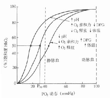 正常人血红蛋白氧解离曲线