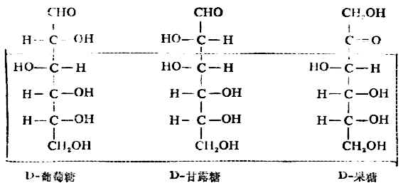 二、单糖的性质