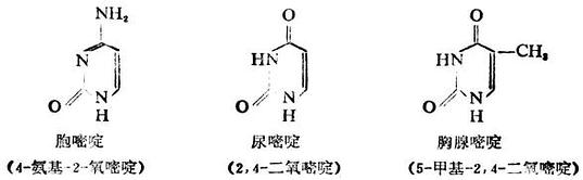 三、重要的杂环化合物及其衍生物