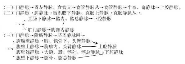 四、门静脉的主要属支及侧副循环