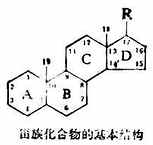 三、甾族化合物