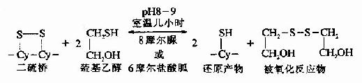 蛋白质一级结构的测定方法