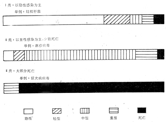 传染过程轻重程度的类型