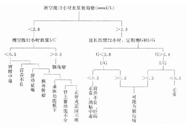 空腹型低血糖症的诊断程序