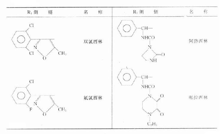 青霉素类各种重要药理特性