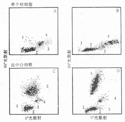 人的外周血白细胞分群的二维点图 