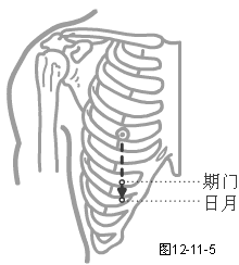 足少阳胆经穴