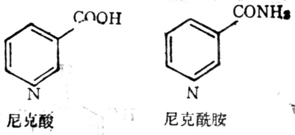 尼克酸尼克酰胺结构式 