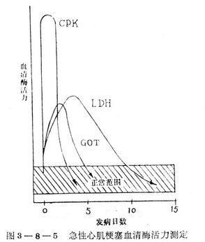 血清酶