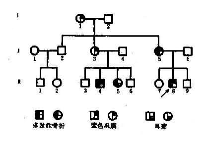 一例成骨不全病例系谱