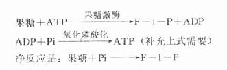 三、其它糖代谢异常