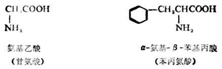 第十七章　取代羧酸和对映异构