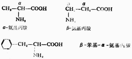 一、氨基酸的构造、构型及分类、命名