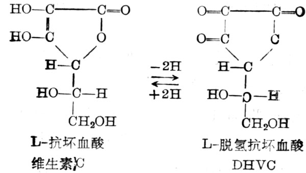 维生素C的构造式及其氧化还原 