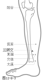 足少阴肾经穴