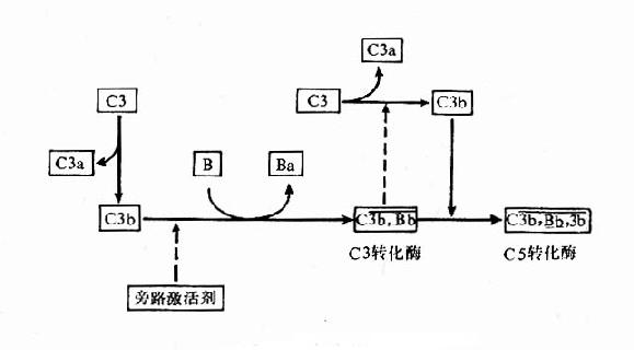 旁路激活途径