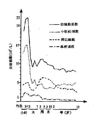 白细胞变化曲线