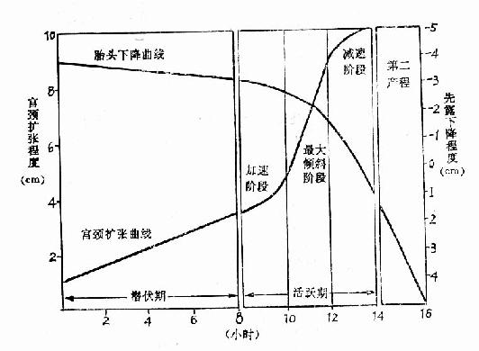 产程图