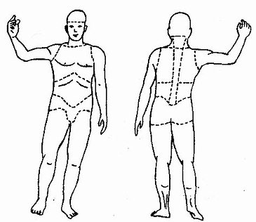 人体损伤部位划分示意图