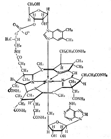 辅酶B12分子式 