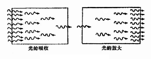 光的吸收与放大