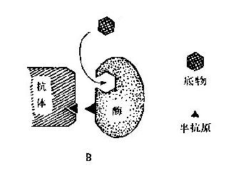 EMIT原理示意图