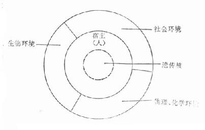 人与环境相互作用的轮状模型