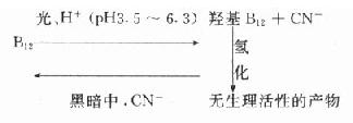 三、影响化学反应速度的其它因素