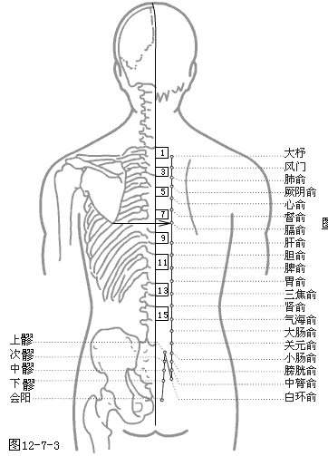 足太阴膀胱经穴