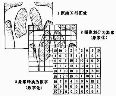 象素转换为数字（数字化）