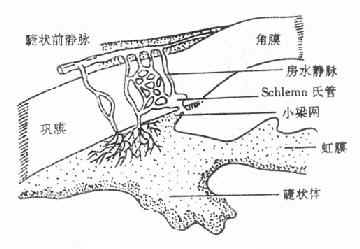 房水出路